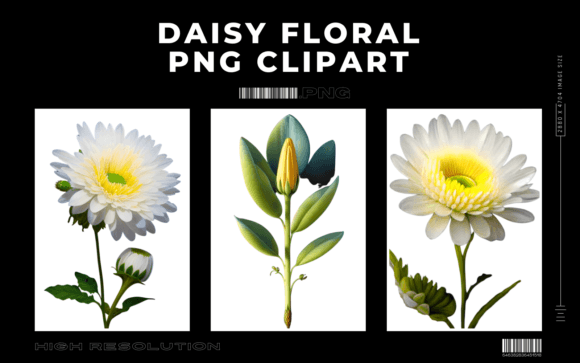 Bringing Nature to Your Designs with Daisy Floral Clipart